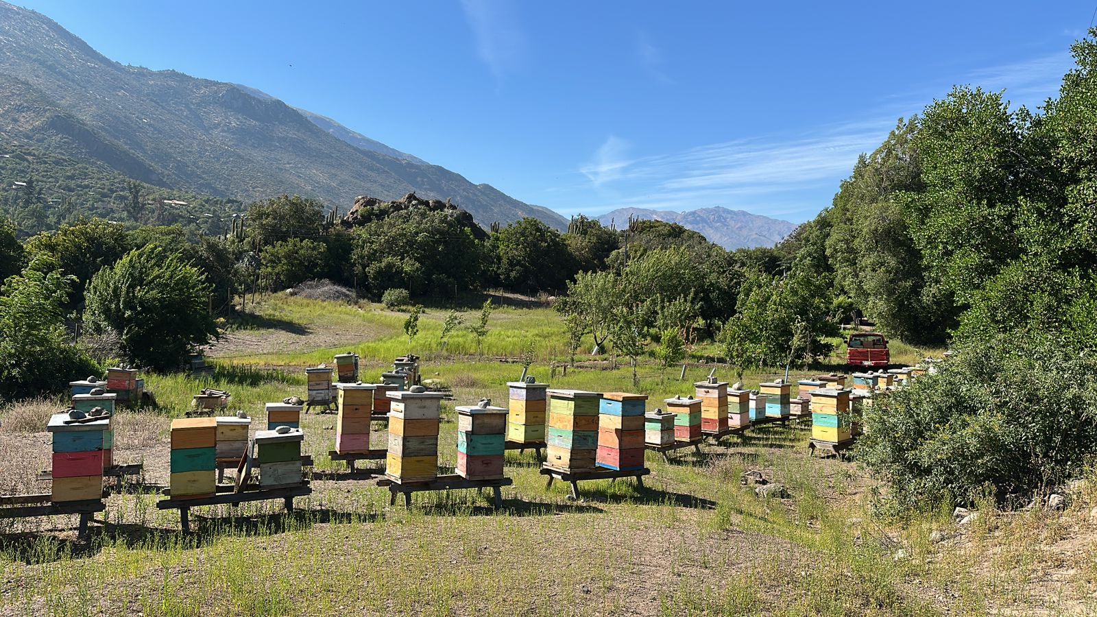 Colmenas BeeFriendly en el Cajón del Maipo con los Andes de fondo